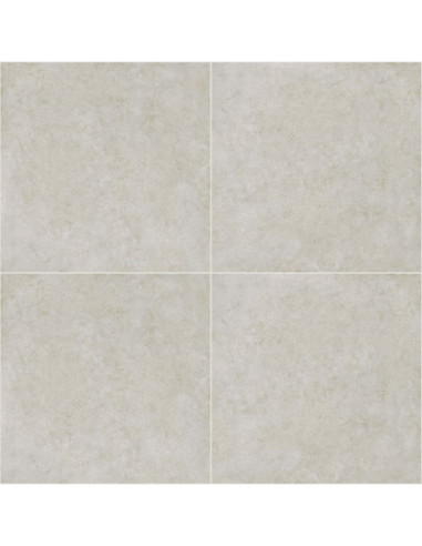 California Gris Claro 51 X 51